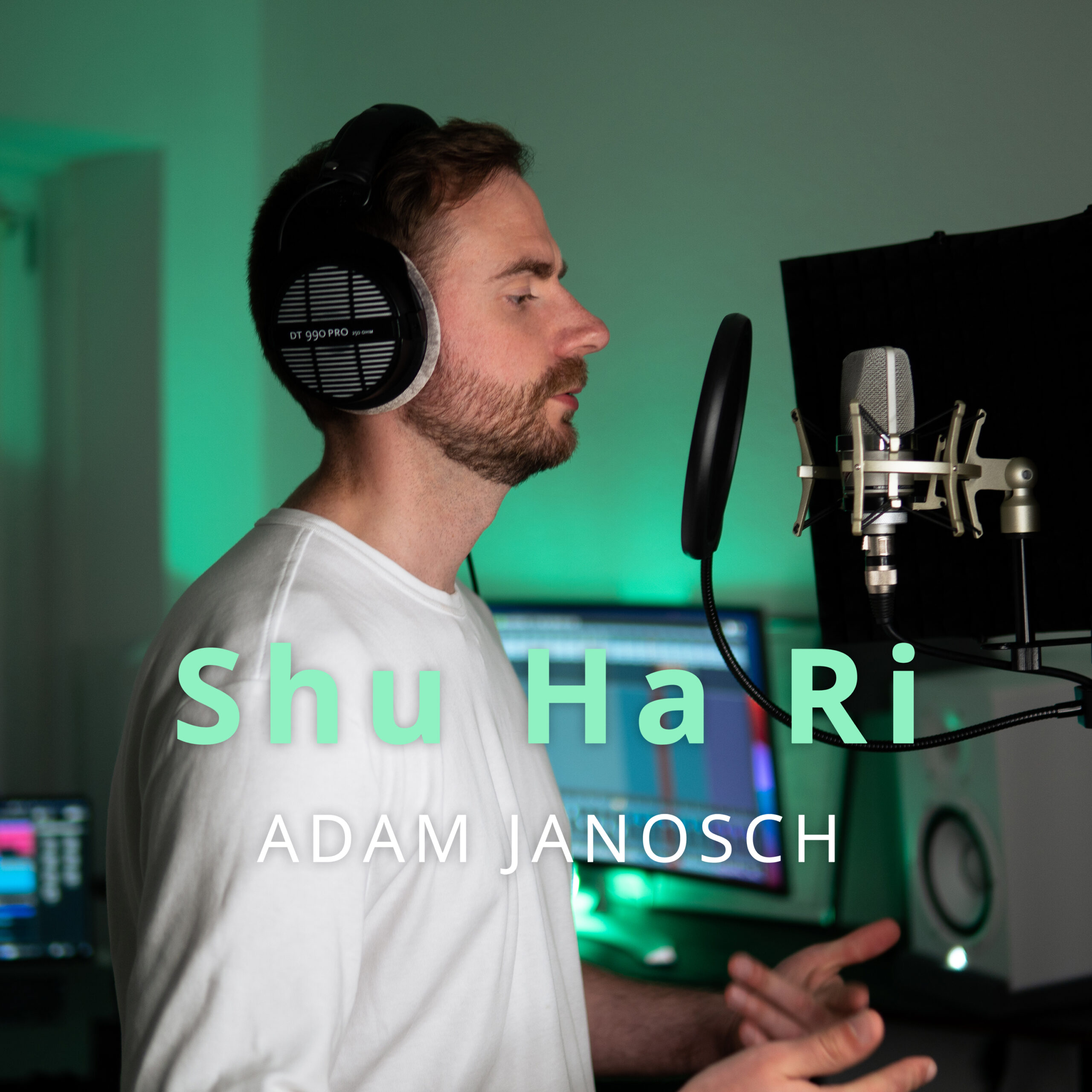 Read more about the article Shu Ha Ri