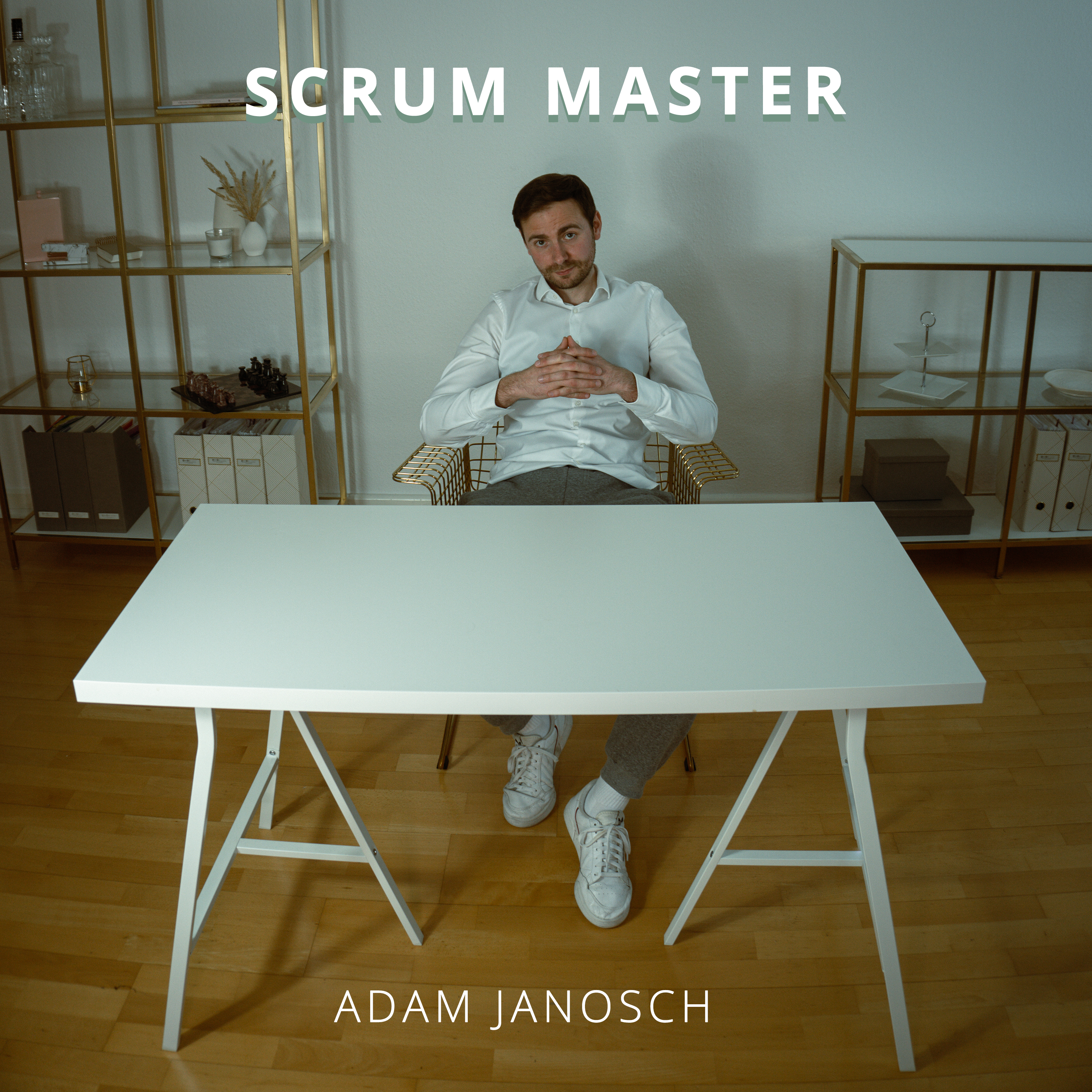 You are currently viewing Scrum Master Song
