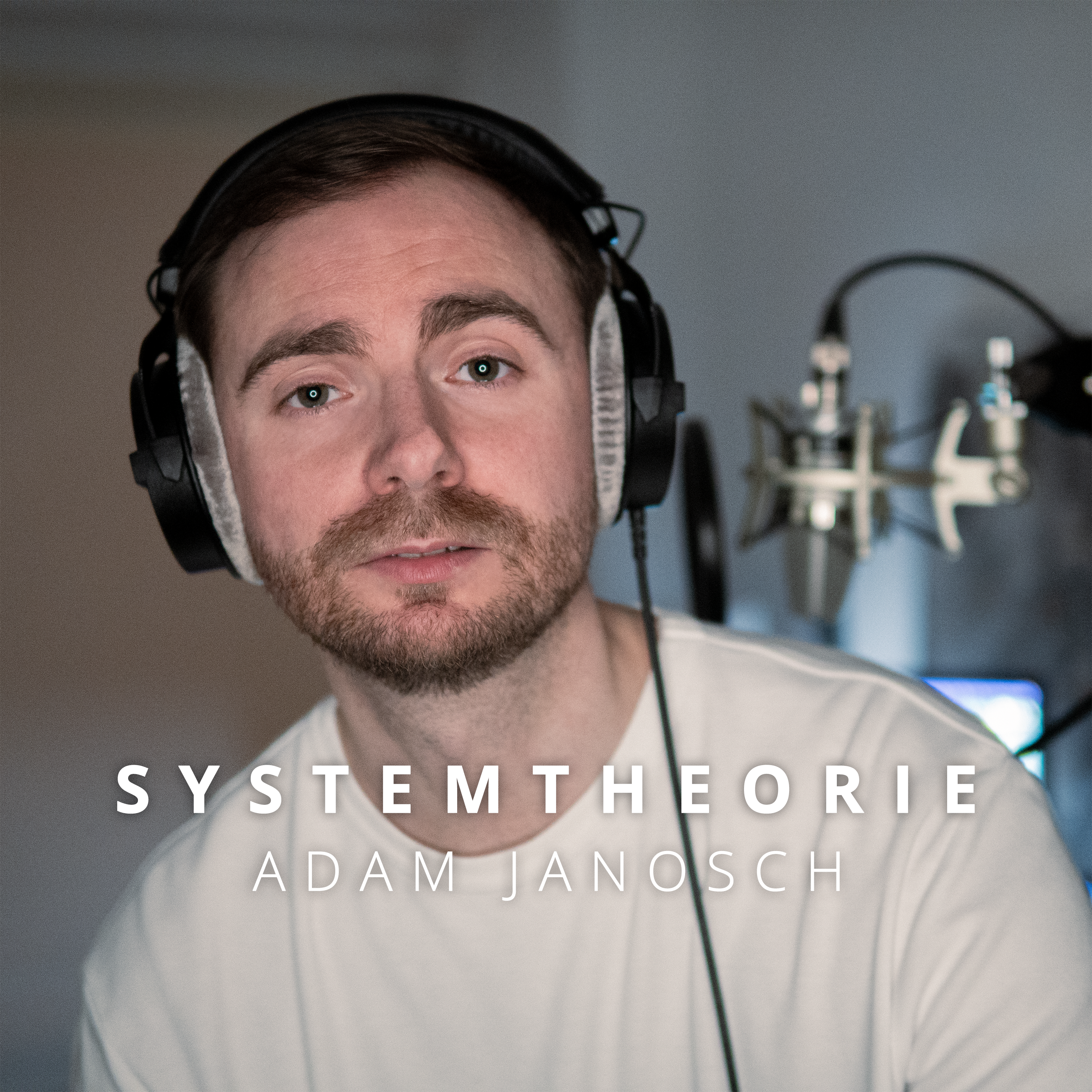 Read more about the article Systemtheorie
